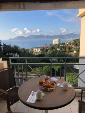 Comfortable apartment in Cannes